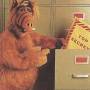 welcome_alf.jpg